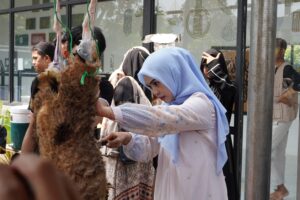 pengulitan hewan kurban di hari raya idul adha oleh ria ricis